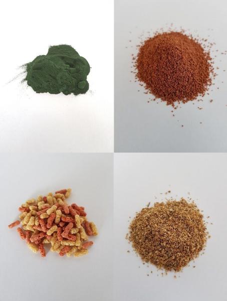 Triops Futterpaket Algen Hauptfutter Jungtierfutter Zuchtfutter Daphnien